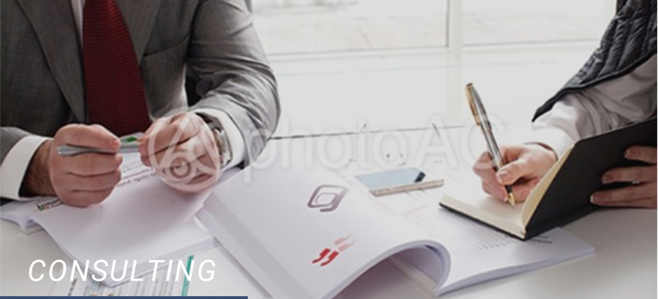 CONSULTING